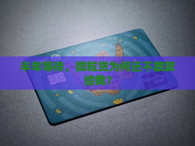 微粒贷半年不批贷款