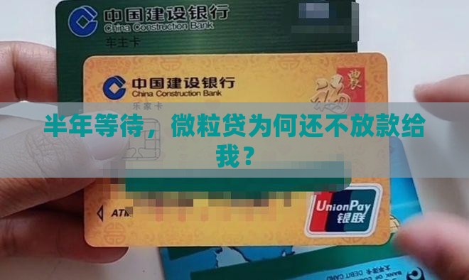 微粒贷半年不批贷款