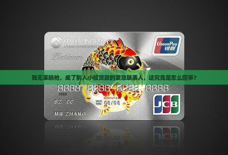 别人小额贷款联系人写我