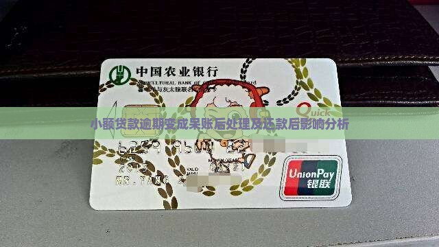 小额贷款逾期变成呆账