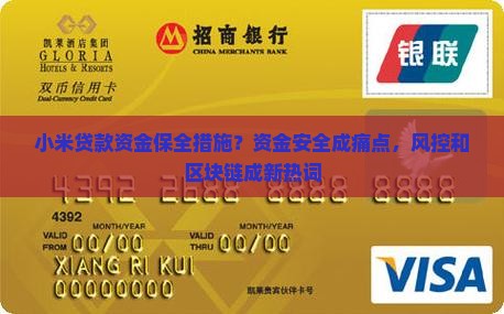 小米贷款资金保全措施