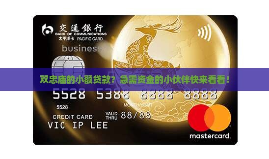 双忠庙小额贷款