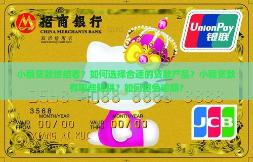 小额贷款终结者
