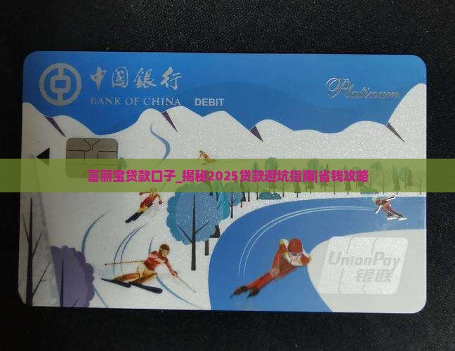 富丽宝贷款口子