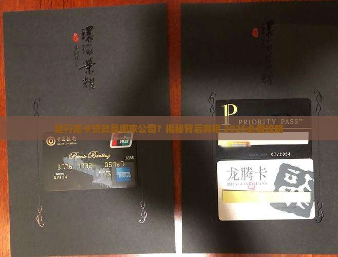 建行龙卡贷款是哪家公司