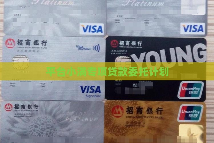 平台专项贷款