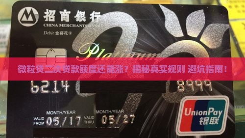 微粒贷二次贷款额度