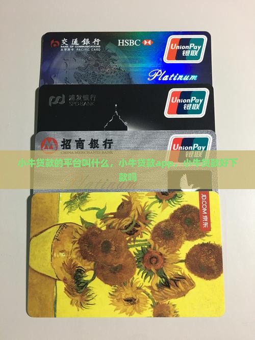 小牛贷款的平台叫什么