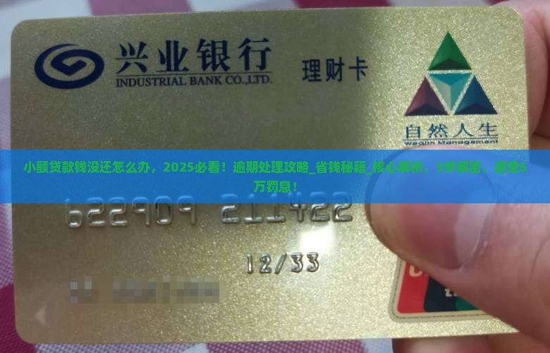 小额贷款钱没还怎么办