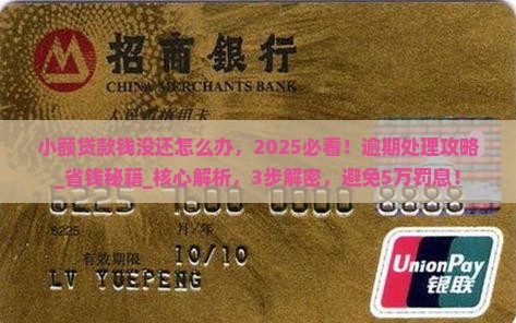 小额贷款钱没还怎么办