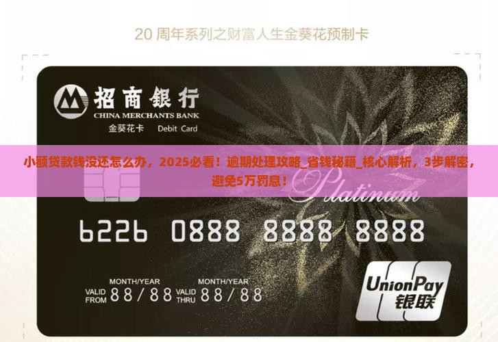 小额贷款钱没还怎么办