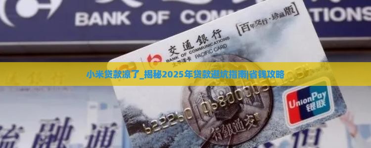 小米贷款凉了