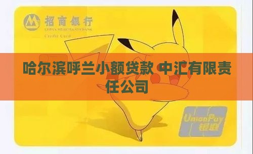 哈尔滨呼兰小额贷款