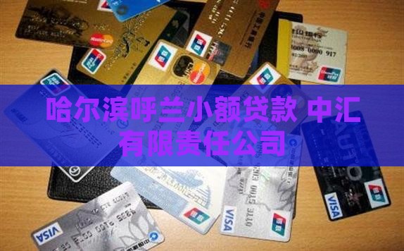 哈尔滨呼兰小额贷款