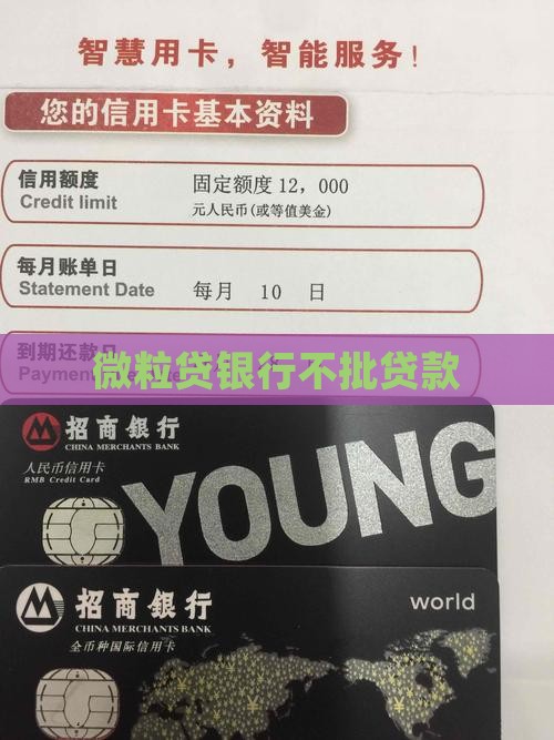 微粒贷银行不批贷款