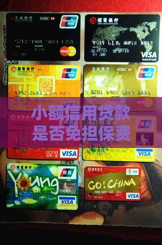 小额信用贷款免担保费吗