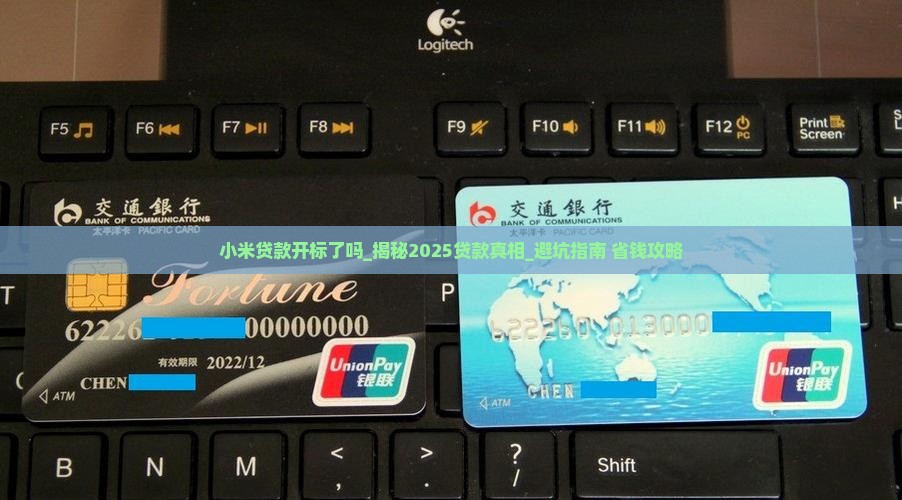 小米贷款开标了吗
