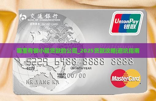 哪里有做小额贷款的公司