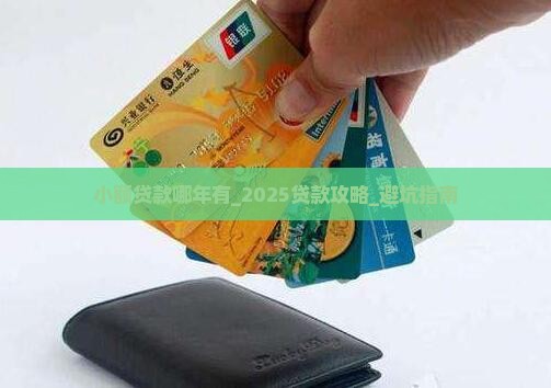 小额贷款哪年有