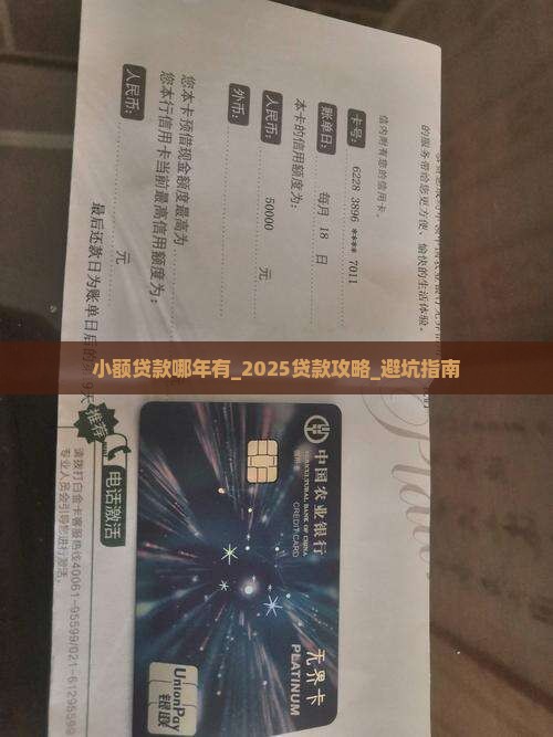 小额贷款哪年有