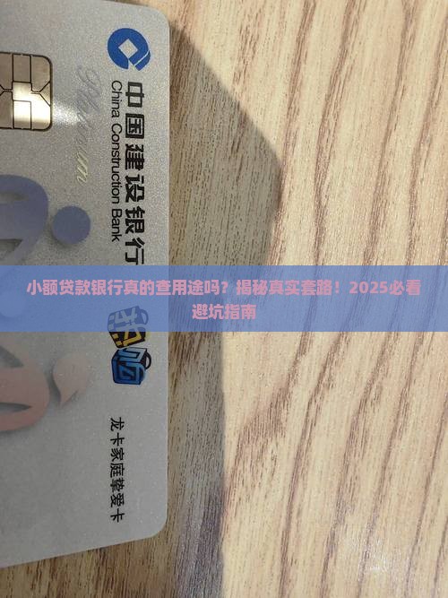 小额贷款银行查用途吗