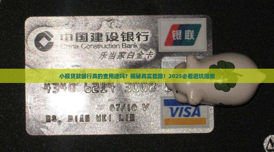 小额贷款银行查用途吗