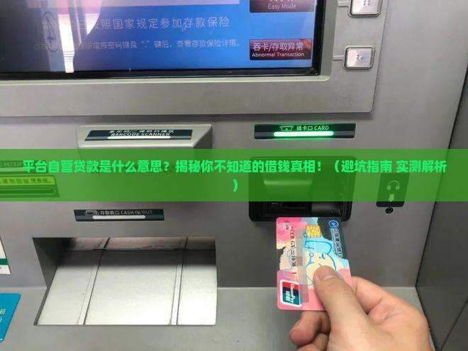 平台自营贷款是什么意思