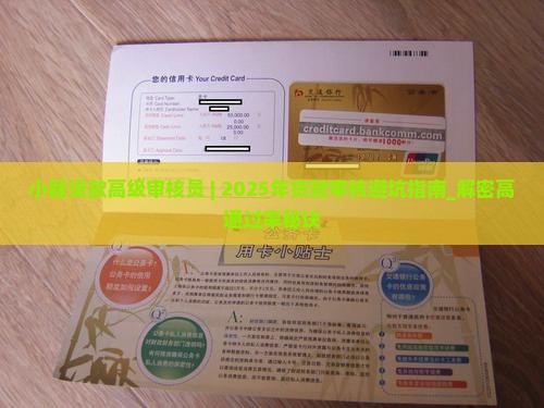 小额贷款高级审核员