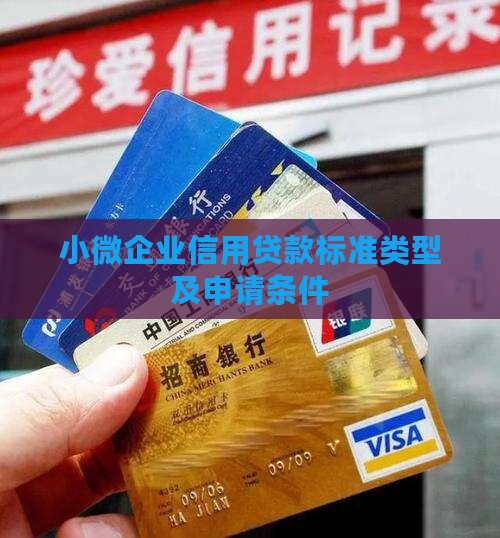 小微企业信用贷款标准