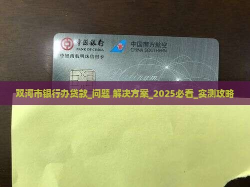 双河市银行办贷款