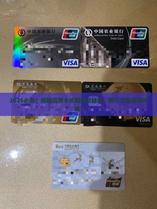 哪个信用卡可以长期贷款
