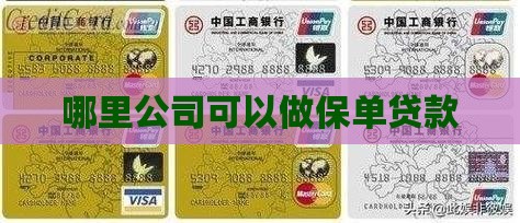 哪里公司可以做保单贷款
