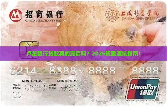 卢龙银行贷款