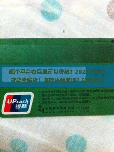 哪个平台有保单可以贷款
