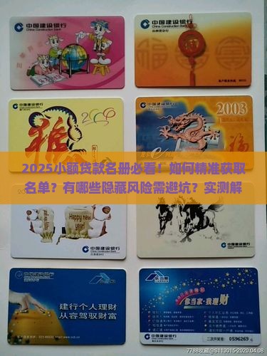 小额贷款名册