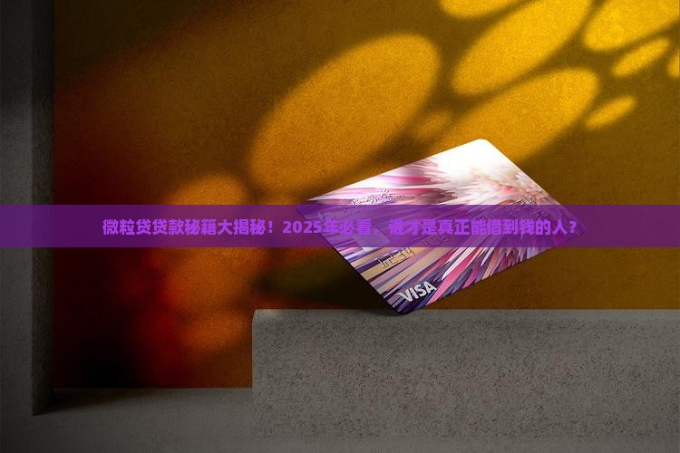 微粒贷什么人能贷款的啊