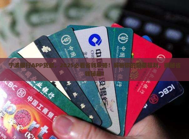 宁波银行APP我的贷款