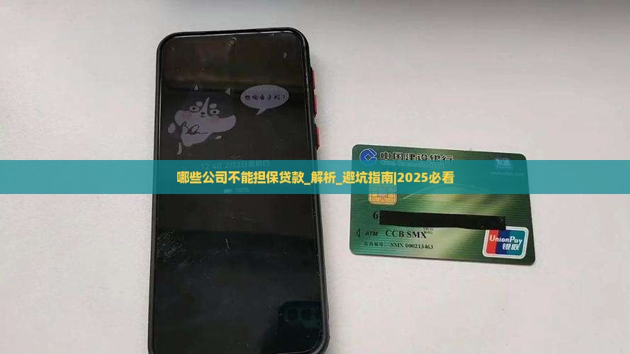 哪些公司不能担保贷款