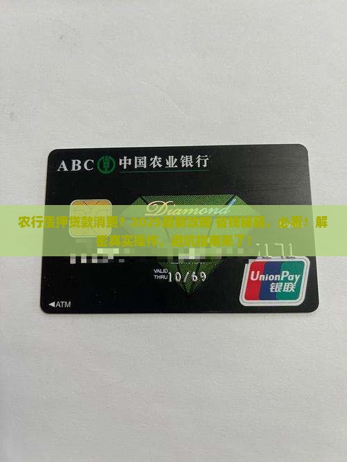 农行质押贷款消费