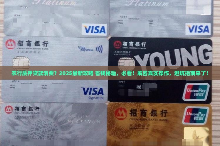 农行质押贷款消费