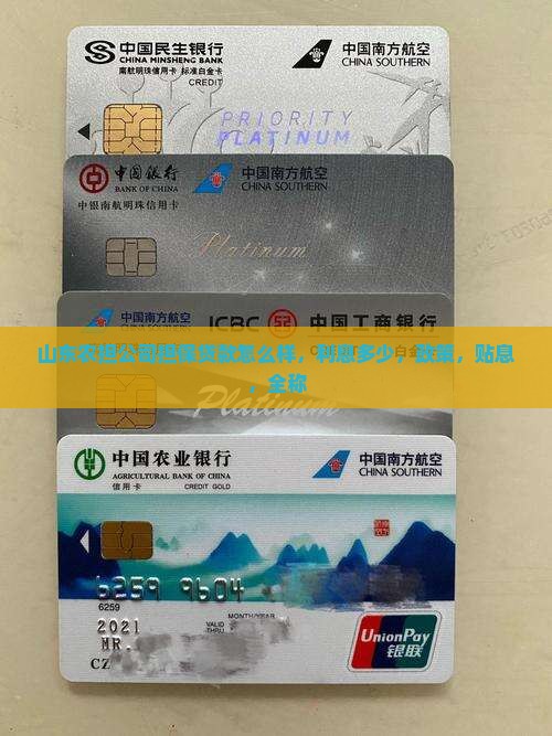 山东农担公司担保贷款