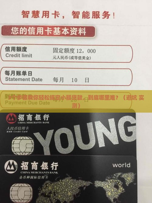 小额贷款太难了吧