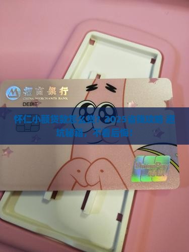 怀仁市小额贷款政策