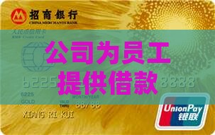 同学公司给员工贷款