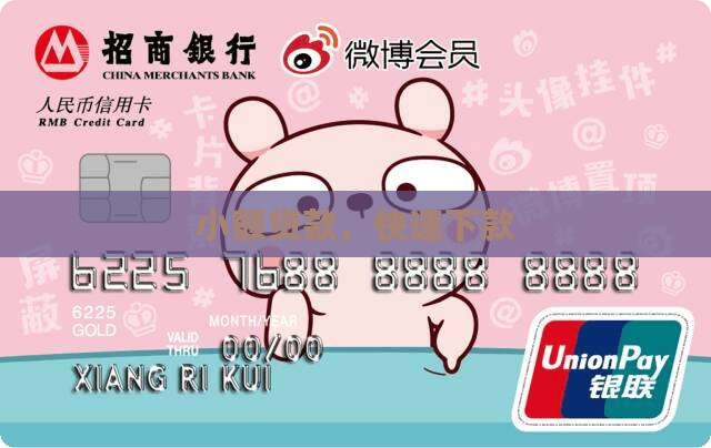 小额贷款通过快的