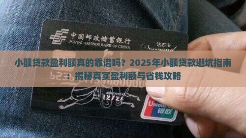 小额贷款盈利额