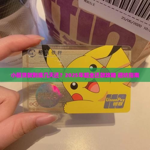 小额贷款一般多少天还款