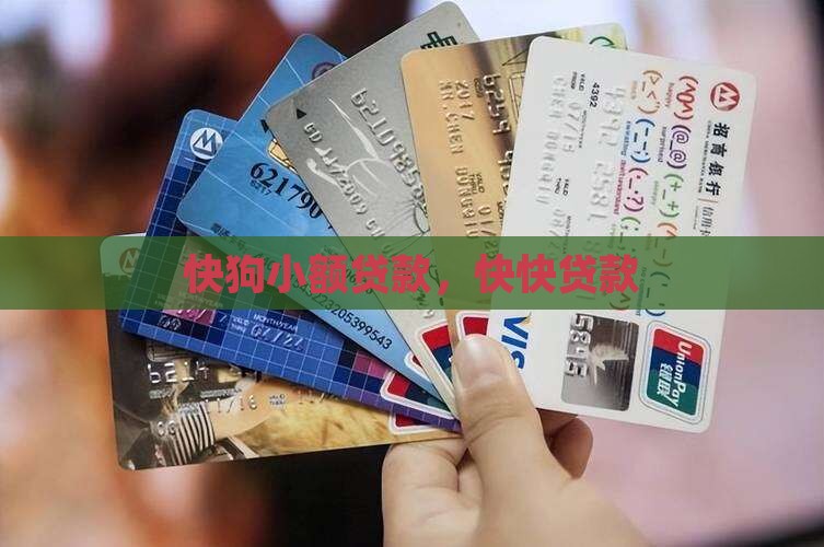 快狗小额贷款