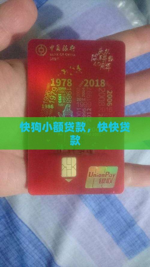 快狗小额贷款