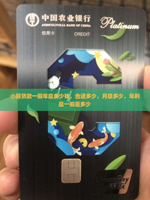 小额贷款一般年息多少钱